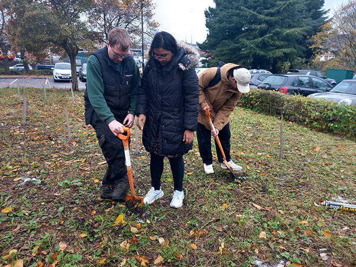 Students planting saplings in the Shearbridge car park at the University of Bradford