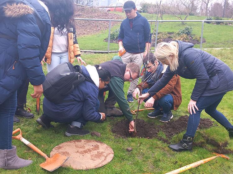 Students and staff plant tree in the grounds of campus
