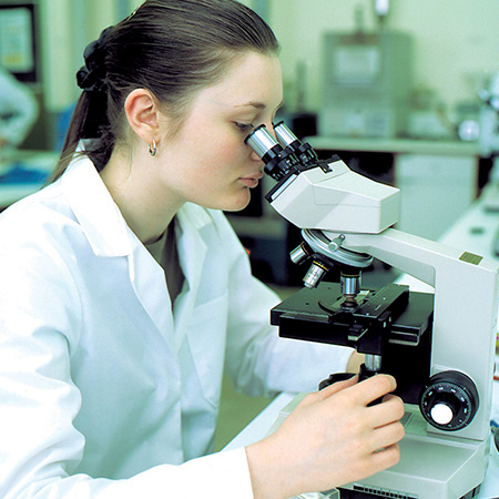 A student using a microscope