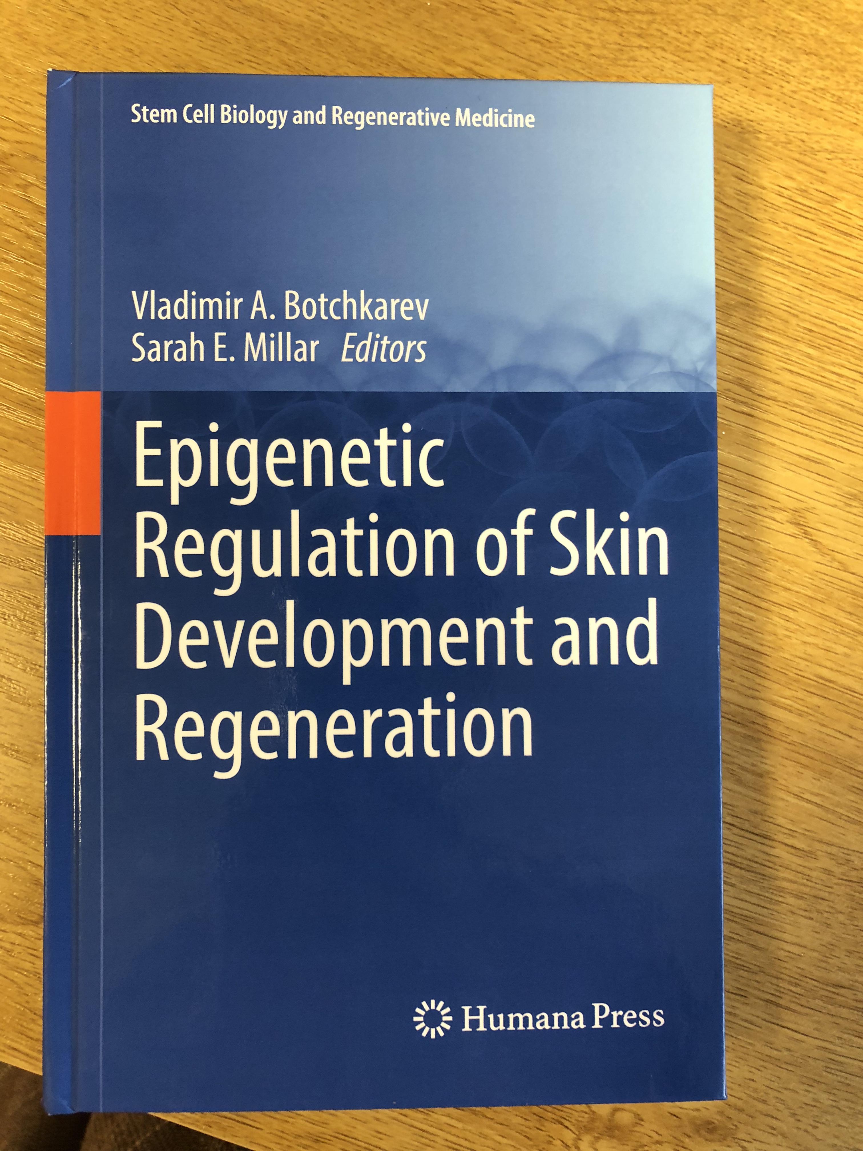 Front cover of Epigenetic regulation of skin development and regeneration by Vladamir A. Botchkarev