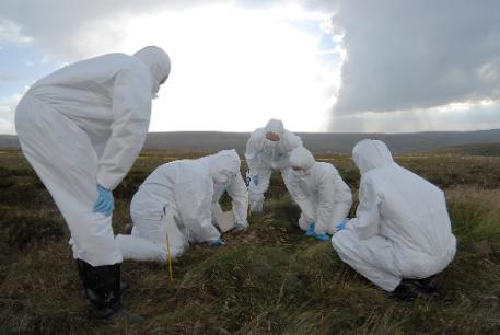 4 people dressed in white protective suits inspecting moorland ground