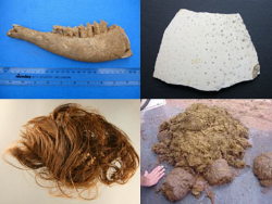 four images of items to be analysed such as bone and hair