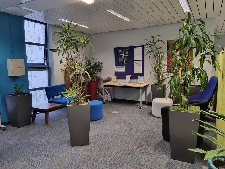 A calm area in the library with seating, plants and books