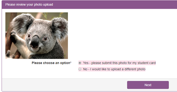 Screenshot of photo upload dialogue box asking users to review their photo submission for their student card.