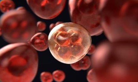 3D rendered image of blood cells.