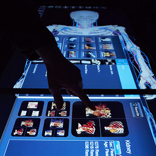 A student using a digital table at the Faculty of Life Sciences