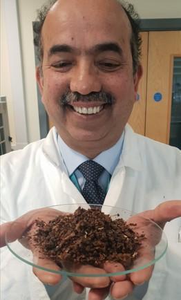 Professor Anant Paradkar with a plate of propolis, made from beehives Professor Anant Paradkar with a plate of propolis, made from beehives