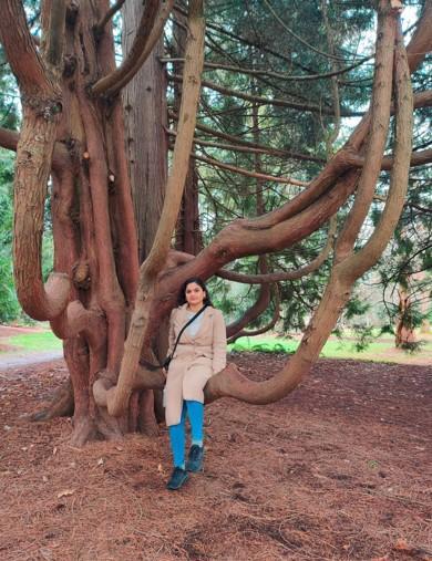Krupa Sayania sitting on the bough of a tree Krupa Sayania sitting on the bough of a tree