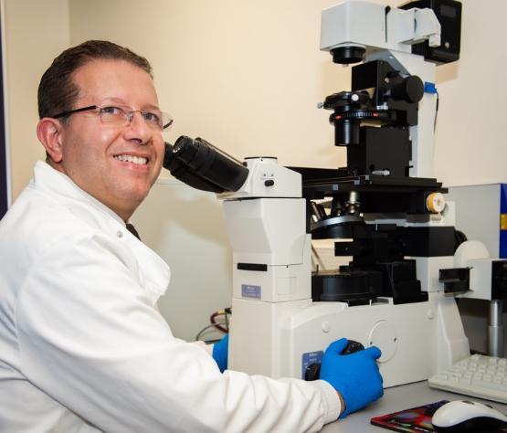 Professor Sherif El-Khamisy in the lab Professor Sherif El-Khamisy in the lab