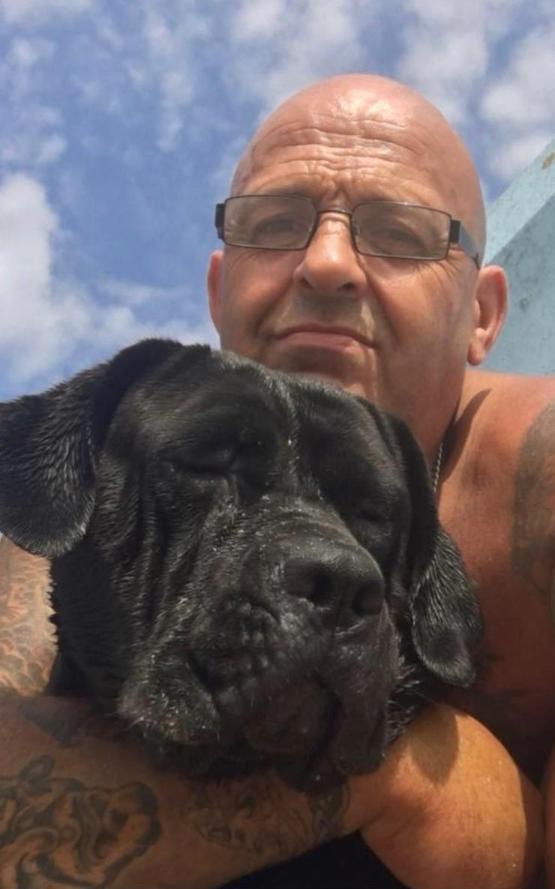A person sitting in sunshine holding a black dog A person sitting in sunshine holding a black dog