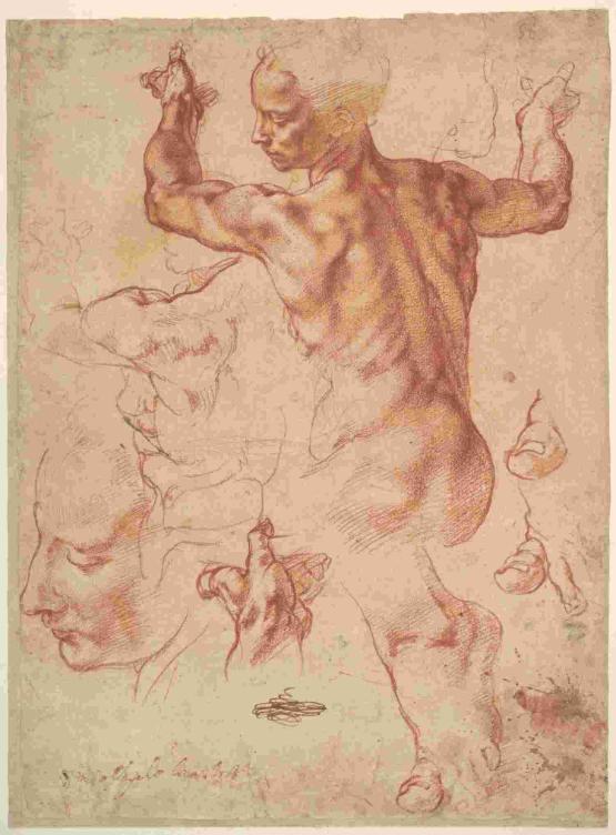 A sketch by Michelangelo A sketch by Michelangelo