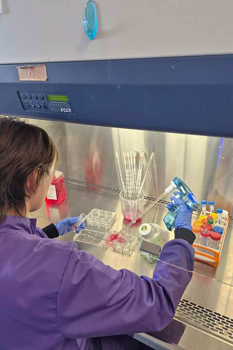 A researcher adding liquid to a sample in a lab environment A researcher adding liquid to a sample in a lab environment
