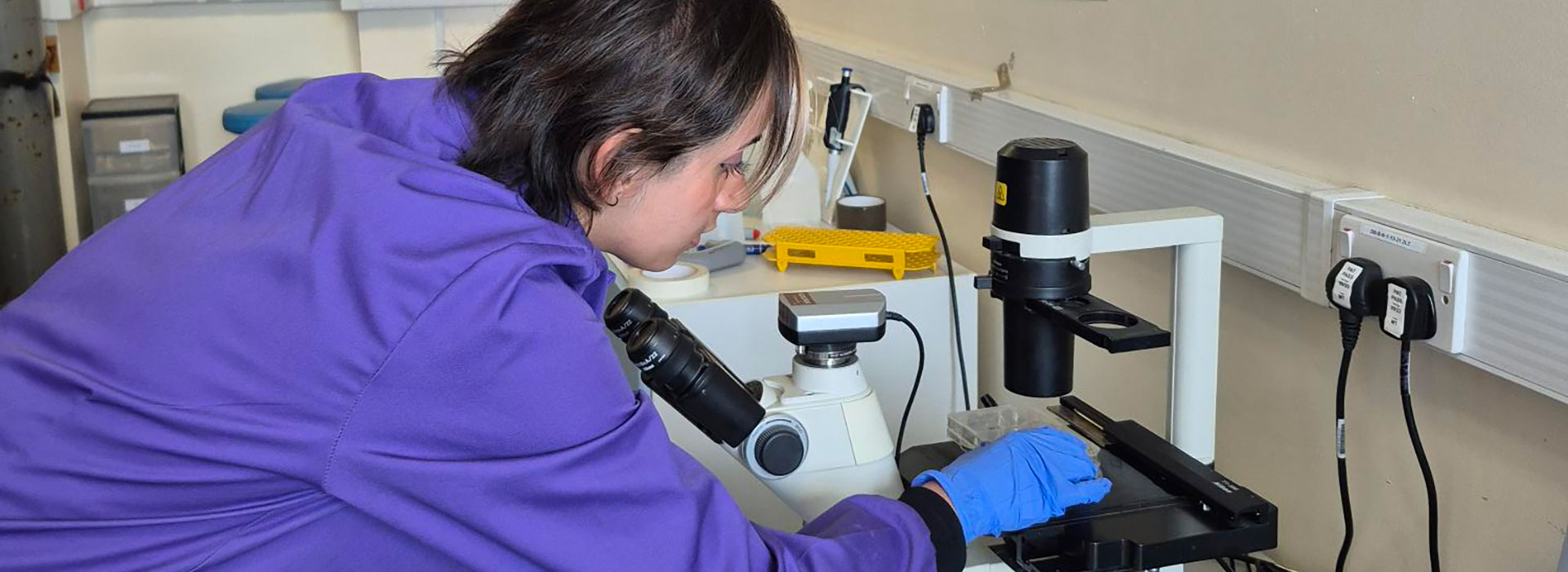 PGR Skin Sciences student Lara-Kay Shafi in the lab using a microscope