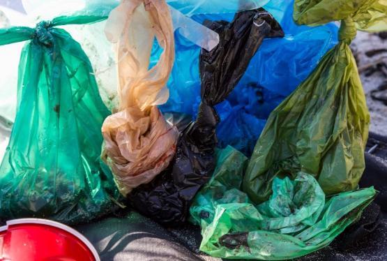 plastic bags and rubbish plastic bags and rubbish