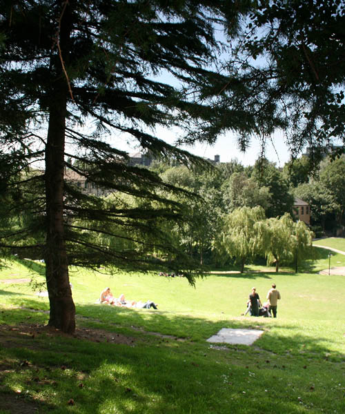 Green space on the University of Bradford campus