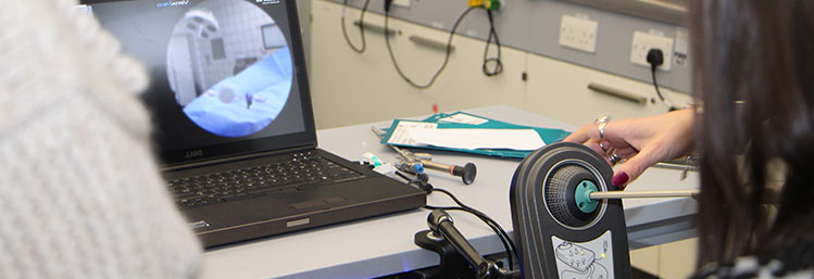 Diagnostic Hysteroscopy and Therapeutic Management PGCert (London)