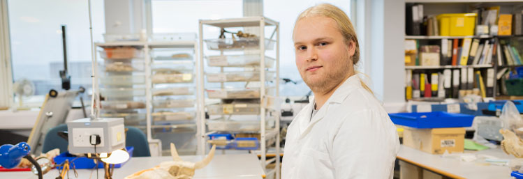 Foundation Year in Archaeology