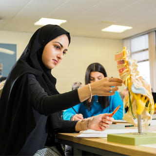 Student looking at a model skeleton in occupational therapy seminar