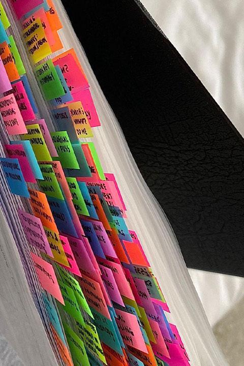 A study notes folder with different coloured annotations.