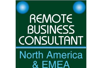 Remote Business Consultant