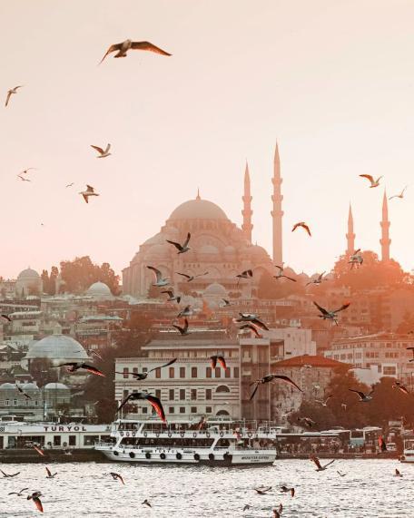 A view of the Suleymaniye Mosque in Istanbul, Turkey, with a large flock of seagulls flying above the water and a ferry boat passing by in the foreground.