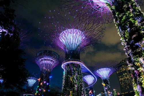 Singapore's 
