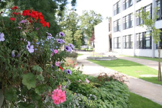 Image of the University peace garden with flower and a building