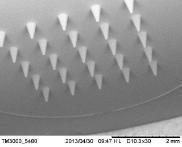 Image of the microneedles