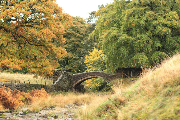 A stone bridge in Yorkshire