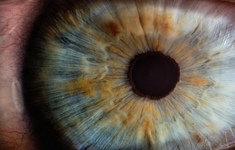 Zoomed in image of an eye's blue iris and pupil.
