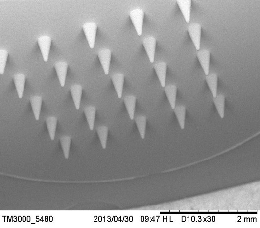 Microscopic image of microneedles.