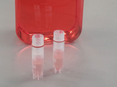 Bottle of cell culture medium and two vials containing isolated cells. 