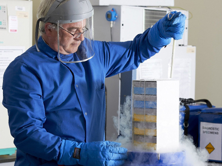 Researcher freeze drying tissue samples in liquid nitrogen