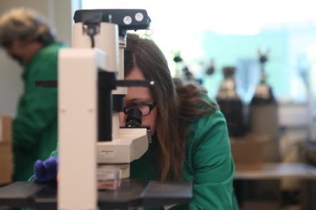 Postdoctoral Research Assistant Dr Monika Primon uses the microscope in the Institute of Cancer Therapeutics.