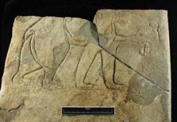 Image of an archaeological find depicting an animal
