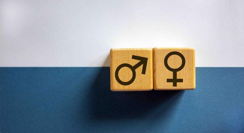 two wooden tiles showing male and female symbols to signify equal rights