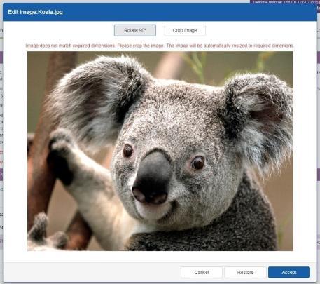 Screenshot of Photo Upload dialogue box on the Online Enrolment Portal. Demo picture of a Koala with the options to Crop or Rotate the image.,
