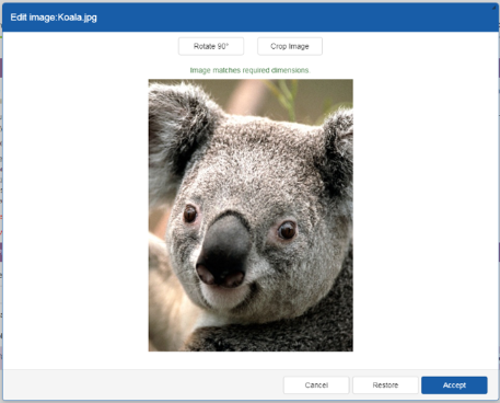 Screenshot of the photo upload dialogue box showing a cropped photograph of a Koala.