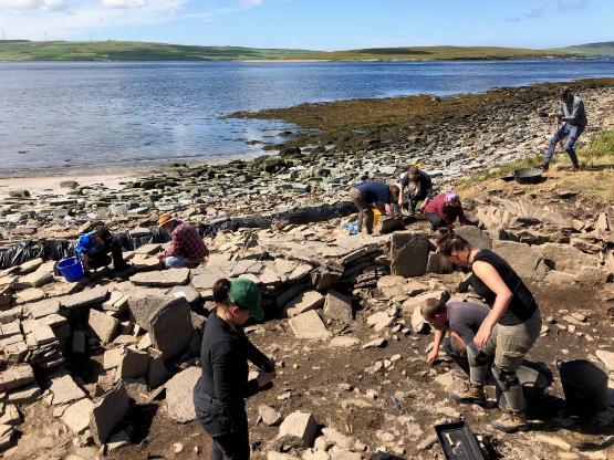 Students working on the Swandro excavation
