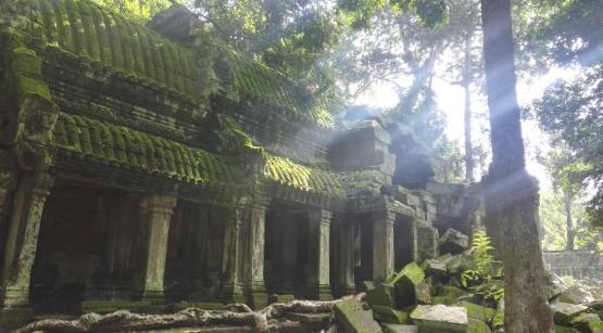 Temple ruins in the middle of a jungle