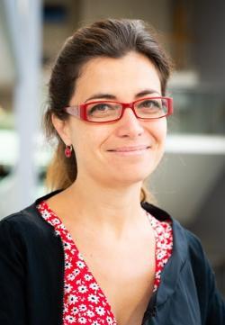 Dr Giorgia Previdoli