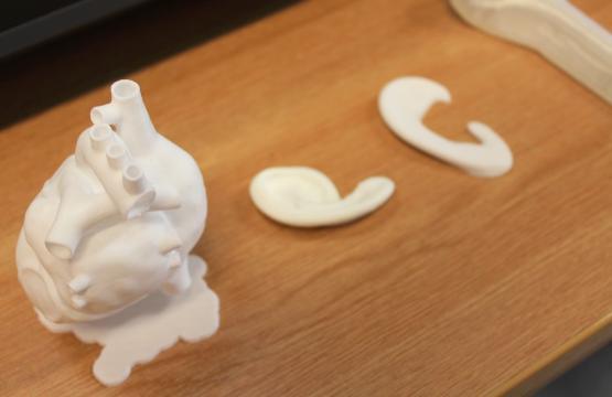 3D printed objects on a table, including a heart and ears