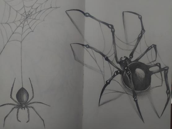 A drawing of a spider by Ukrainian student Ella Bodnar