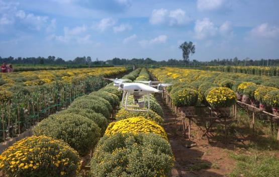 A drone hovering above a farm field