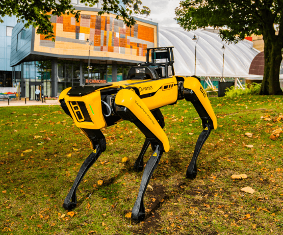 Boston Dynamics 'spot' robot dog