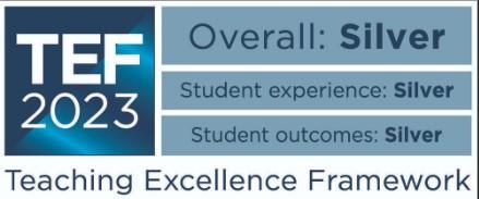 Teaching Excellence Framework logo silver award