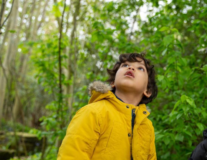 Nursery child in yellow coat looking at nature in wonder