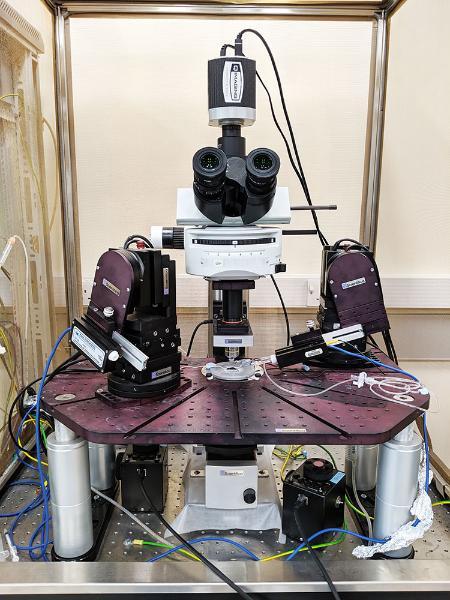 Electrophysiology rig located in Institute Cancer Therapeutics, Faculty of Life Sciences