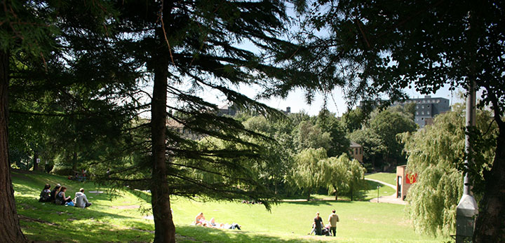 Students sitting outside on the grass at the campus
