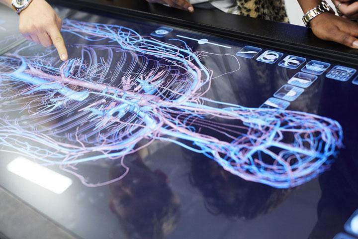 An anatomage table with students' hands touching the screen.
